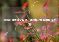 电脑磁盘清理全攻略，轻松优化电脑的操作方法