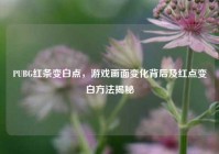 PUBG红条变白点，游戏画面变化背后及红点变白方法揭秘