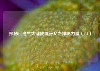 探秘瓦洛兰大陆皮城符文之神秘力量（s11）