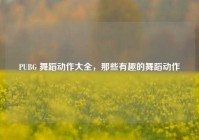 PUBG 舞蹈动作大全，那些有趣的舞蹈动作