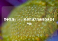 关于使用sfc scannow修复系统文件损坏及该指令用途