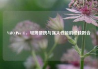 VAIO Pro 11，轻薄便携与强大性能的绝佳融合