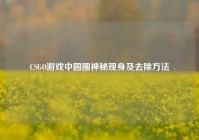 CSGO游戏中圆圈神秘现身及去除方法
