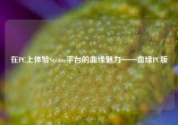 在PC上体验Steam平台的血缘魅力——血缘PC版
