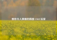 那些令人捧腹的韩国 CSGO 玩家