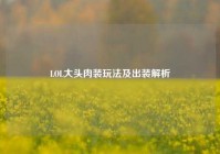LOL大头肉装玩法及出装解析