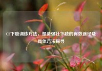 CF下肢训练方法，塑造强壮下肢的有效途径及具体方法探寻