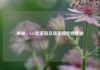 探秘，lol 梁家园及梁家园究竟是谁