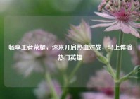 畅享王者荣耀，速来开启热血对战，马上体验热门英雄