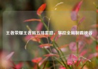 王者荣耀王者局五排套路，掌控全局制霸峡谷