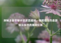 探秘王者荣耀小浪浪直播间，领略指尖热血激情及探寻直播间位置