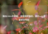 畅玩COD16手柄服，体验别样射击，探讨cod16手柄是否可玩