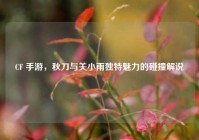 CF 手游，秋刀与关小雨独特魅力的碰撞解说