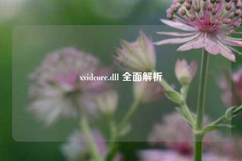 xvidcore.dll 全面解析