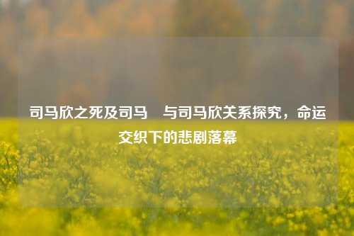 司马欣之死及司马卬与司马欣关系探究,命运交织下的悲剧落幕