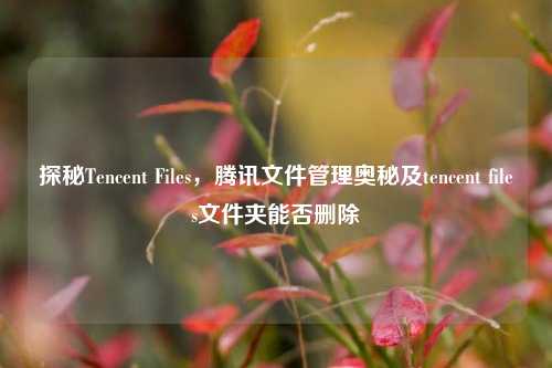 探秘Tencent Files，腾讯文件管理奥秘及tencent files文件夹能否删除