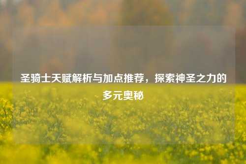 圣骑士天赋解析与加点推荐,探索神圣之力的多元奥秘