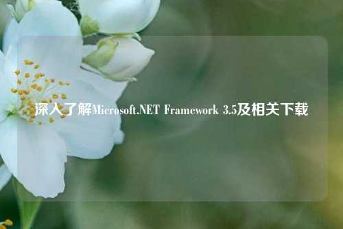 深入了解Microsoft.NET Framework 3.5及相关下载