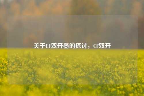 关于CF双开器的探讨,CF双开