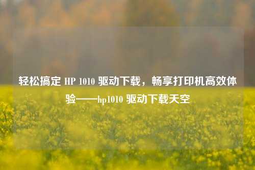 轻松搞定 HP 1010 驱动下载,畅享打印机高效体验——hp1010 驱动下载天空