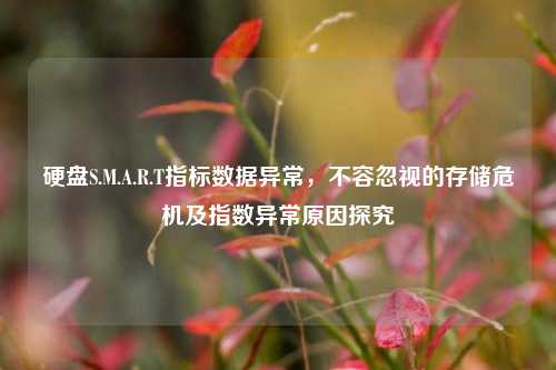 硬盘S.M.A.R.T指标数据异常，不容忽视的存储危机及指数异常原因探究