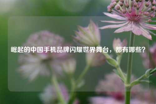 崛起的中国手机品牌闪耀世界舞台,都有哪些?