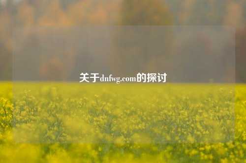 关于dnfwg.com的探讨