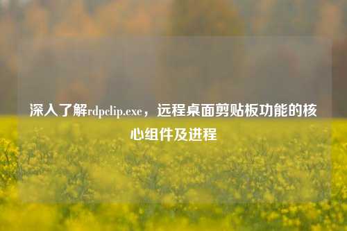 深入了解rdpclip.exe,远程桌面剪贴板功能的核心组件及进程