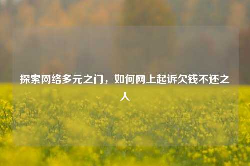 探索网络多元之门，如何网上起诉欠钱不还之人