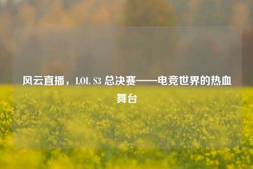 风云直播,LOL S3 总决赛——电竞世界的热血舞台
