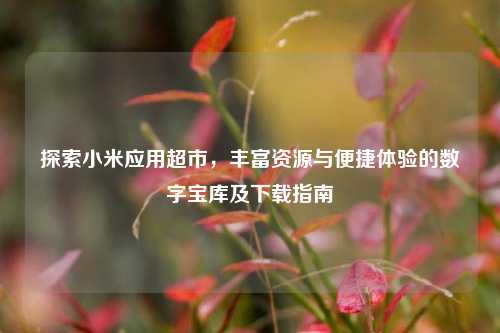 探索小米应用超市,丰富资源与便捷体验的数字宝库及下载指南