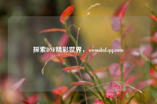 探索DNF精彩世界,www.dnf.qq.com