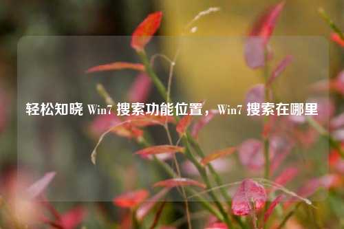 轻松知晓 Win7 搜索功能位置，Win7 搜索在哪里