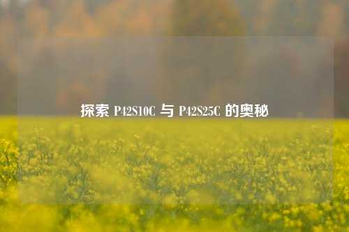 探索 P42S10C 与 P42S25C 的奥秘