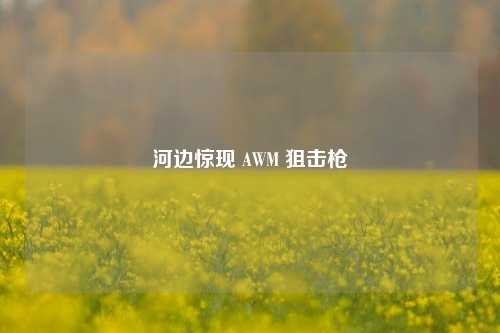 河边惊现 AWM 狙击枪