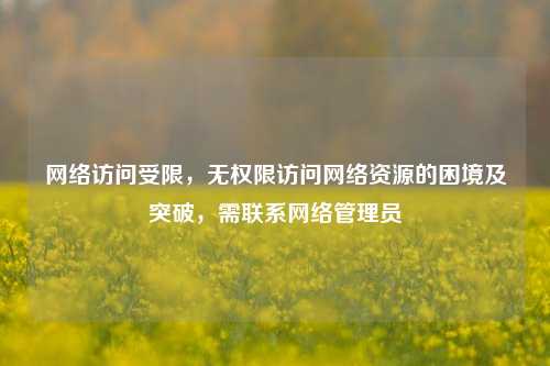 网络访问受限,无权限访问网络资源的困境及突破,需联系网络管理员