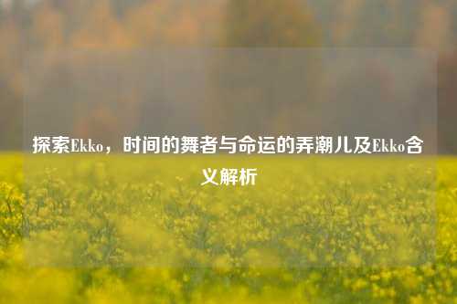 探索Ekko,时间的舞者与命运的弄潮儿及Ekko含义解析