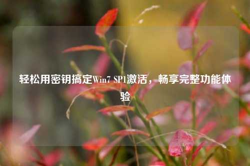 轻松用密钥搞定Win7 SP1激活，畅享完整功能体验