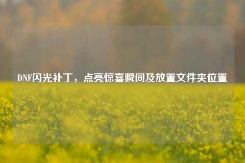 DNF闪光补丁,点亮惊喜瞬间及放置文件夹位置