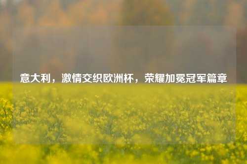 意大利,激情交织欧洲杯,荣耀加冕冠军篇章
