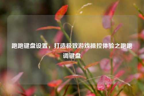 跑跑键盘设置，打造极致游戏操控体验之跑跑调键盘