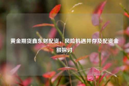 黄金期货鑫东财配资,风险机遇并存及配资金额探讨