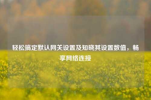 轻松搞定默认网关设置及知晓其设置数值,畅享网络连接