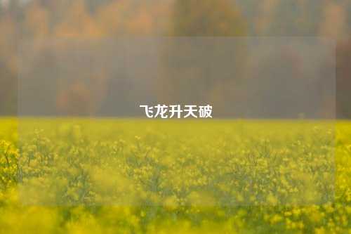 飞龙升天破