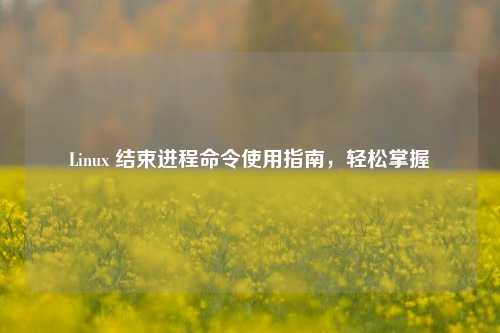 Linux 结束进程命令使用指南，轻松掌握