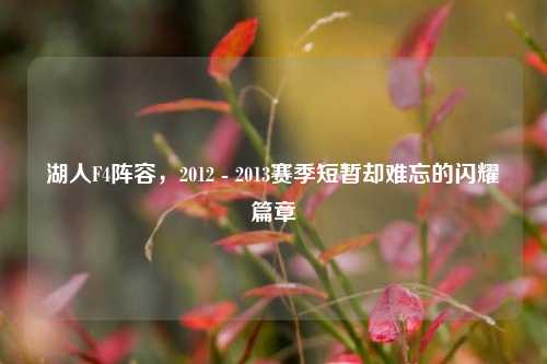 湖人F4阵容,2012 - 2013赛季短暂却难忘的闪耀篇章