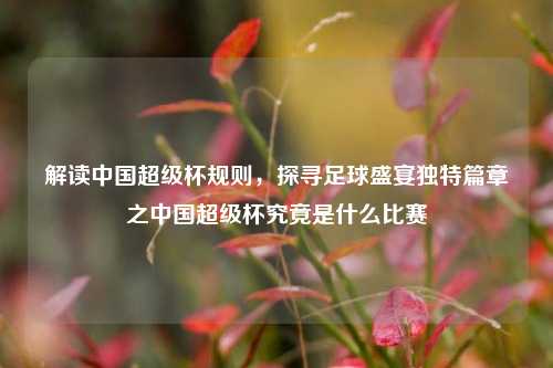 解读中国超级杯规则，探寻足球盛宴独特篇章之中国超级杯究竟是什么比赛