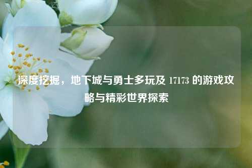 深度挖掘，地下城与勇士多玩及 17173 的游戏攻略与精彩世界探索