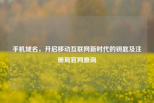 手机域名,开启移动互联网新时代的钥匙及注册局官网查询