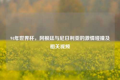 94年世界杯,阿根廷与尼日利亚的激情碰撞及相关视频
